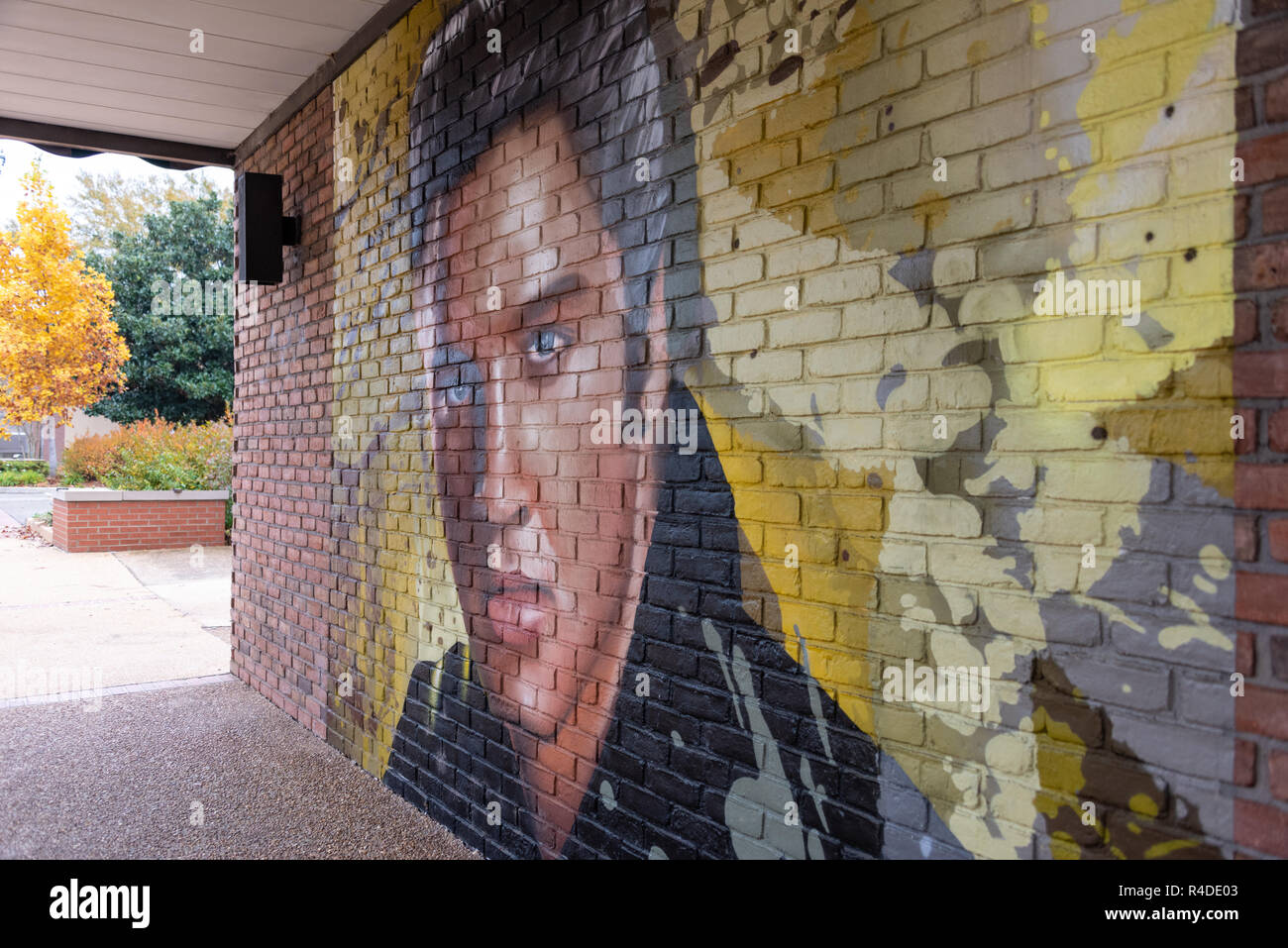 Elvis Presley photo murale sur Main Street dans le centre-ville de Tupelo, Mississippi. Elvis était né à Tupelo le 8 janvier 1935. Banque D'Images