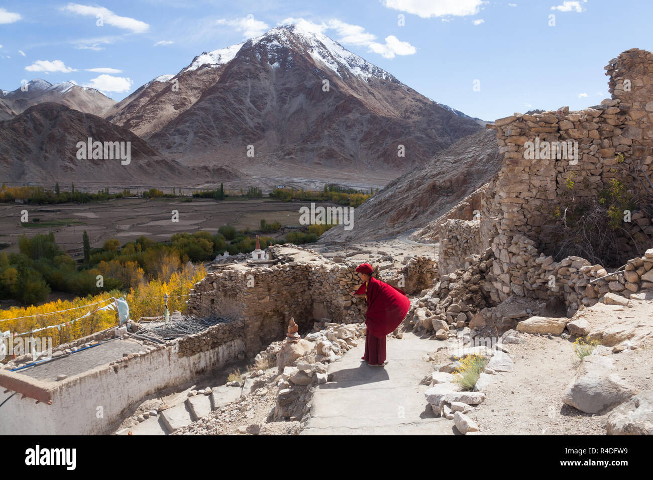 Jeune moine bouddhiste au Chemrey Gompa, le Ladakh, le Jammu-et-Cachemire, l'Inde Banque D'Images