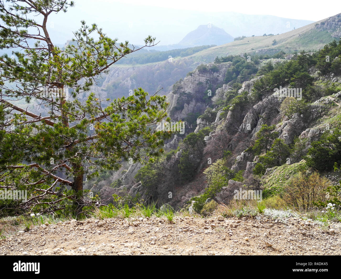 Magnifique paysage de montagne avec des rochers en pente avec dangereux au printemps. Les arbres verts sur les rochers. Chaînes de montagne dans une brume bleue. Montagnes de Crimée Banque D'Images