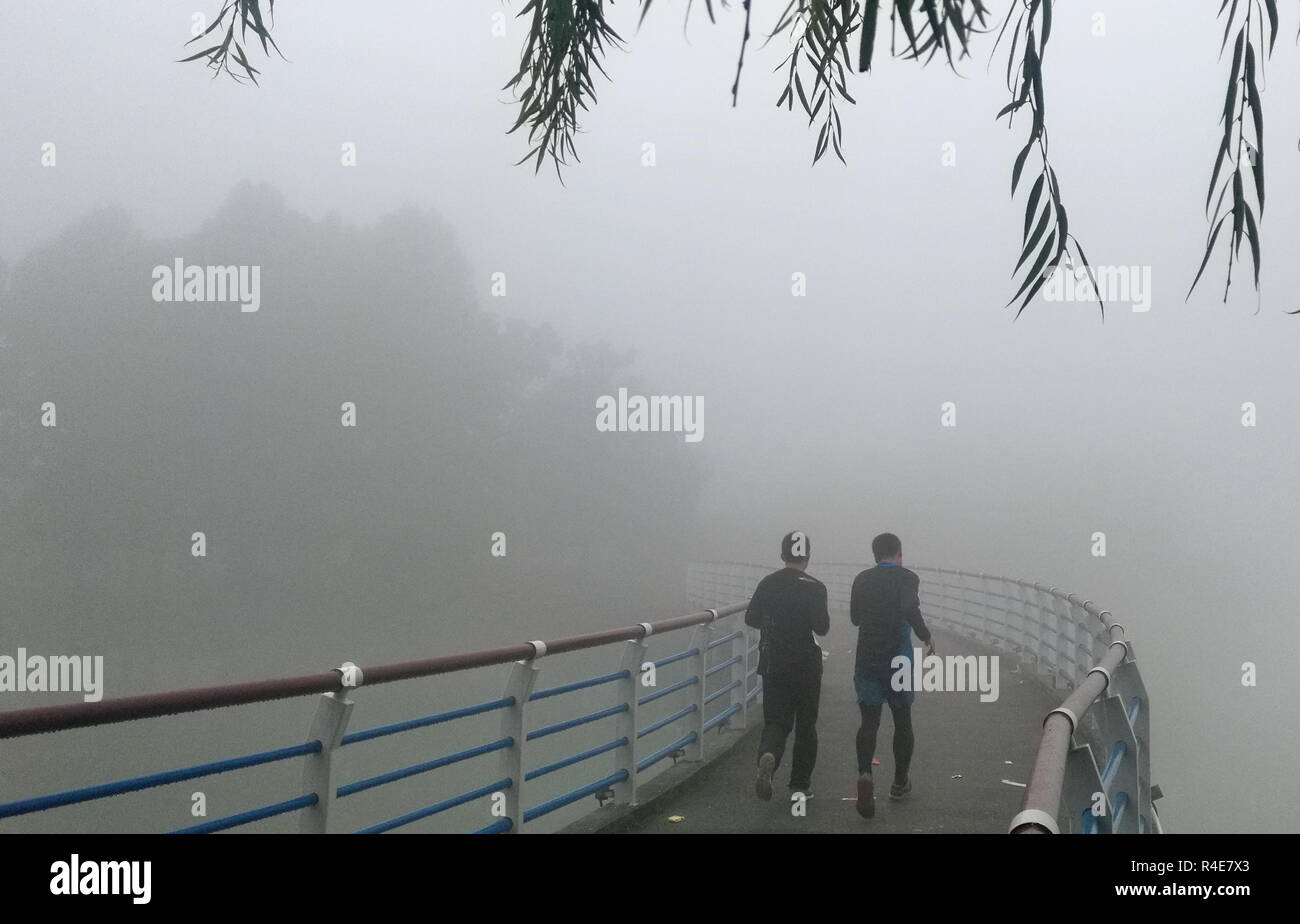 Hangzhou, Zhejiang, Chine, à 6 h du matin le 27 novembre 2018. Des pâtés de maisons et des parcs sont enveloppées dans un épais brouillard. Tôt le matin de ce jour, un brouillard avec une visibilité inférieure à 200 mètres est apparu dans l'ensemble de la ville de Jiaxing, juste comme une fée. Costfoto:Crédit/Alamy Live News Banque D'Images