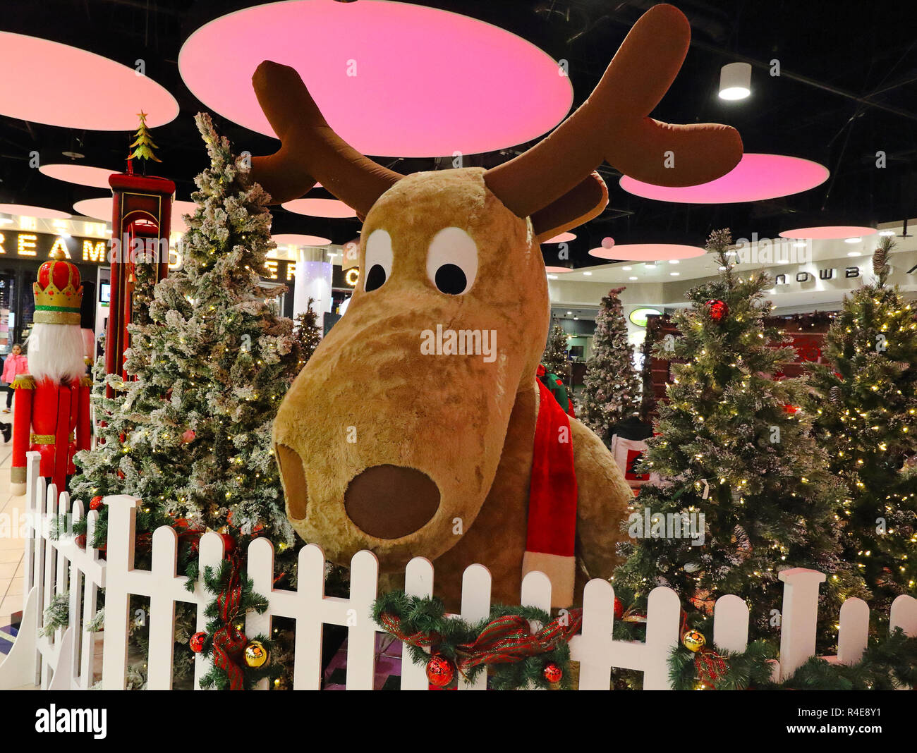 Des centres commerciaux comme : MK et Intu Milton Keynes ont été transformés en leur propre pays des merveilles de Noël pour la durée de la saison de vacances tout en Middleton Hall, il y avait un carrousel à l'ancienne, cabines de Noël, une boule à neige Photo Booth, train donnant manèges pour enfants et Santa's Grotto et à l'extérieur de Queens Court il a été transformé en un marché de Noël. Les centres commerciaux ont été transformés en leur propre pays des merveilles de Noël pour la durée de la saison de vacances, tandis que d'autres avaient Carrousel à l'ancienne, cabines de Noël, une boule à neige Photo Booth, train donnant manèges pour enfants et San Banque D'Images