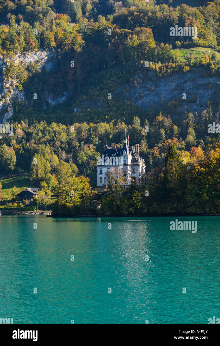 De Beaux Paysages Du Lac De Brienz En Suisse Le Lac Turquoise De de-beaux-paysages-du-lac-de-brienz-en-suisse-le-lac-turquoise-de