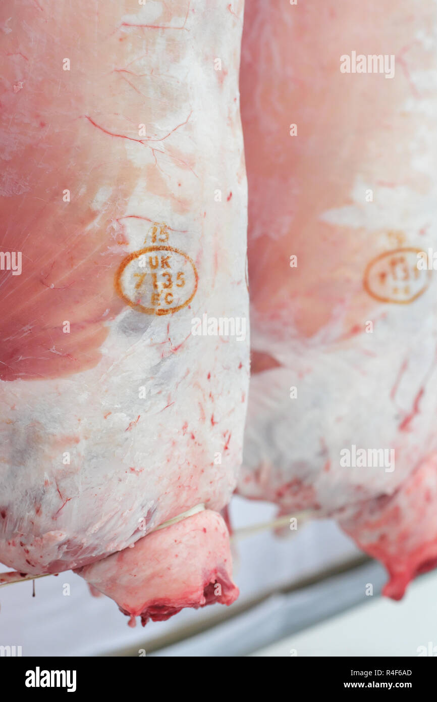 L'agneau gallois les carcasses présentant UK et de la Communauté européenne ( CE ) timbres de qualité de la viande Banque D'Images