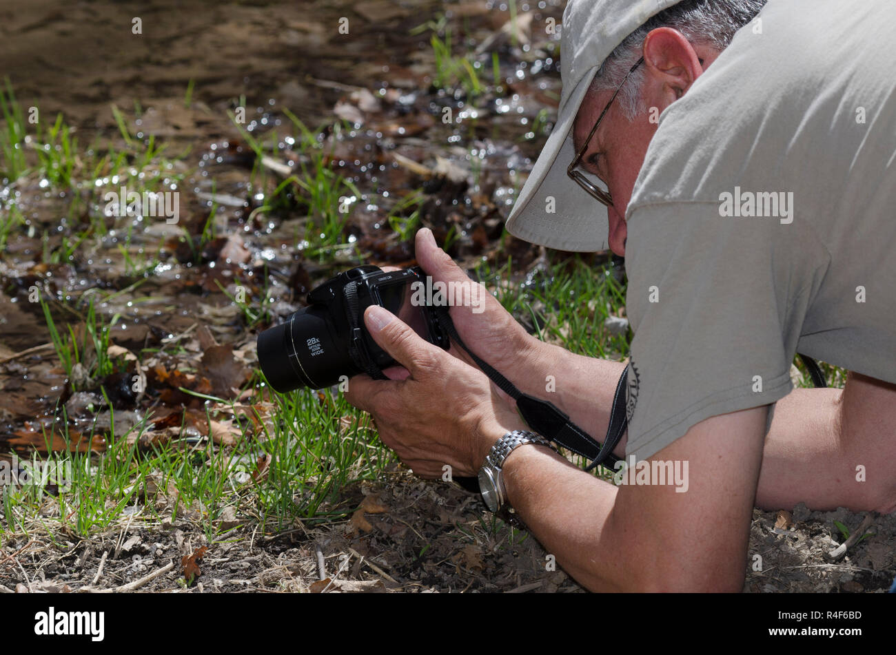 Man photographing butterfly aux côtés de las Huertas Creek qui traverse la montagnes Sandia près de Albuquerque, Nouveau Mexique Banque D'Images