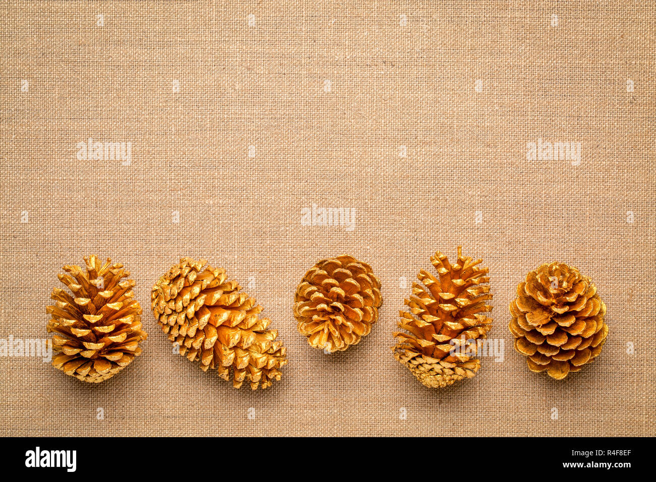 Ligne d'objets décoratifs, d'or, peint des pommes de pin sur une toile de jute avec un copy space Banque D'Images