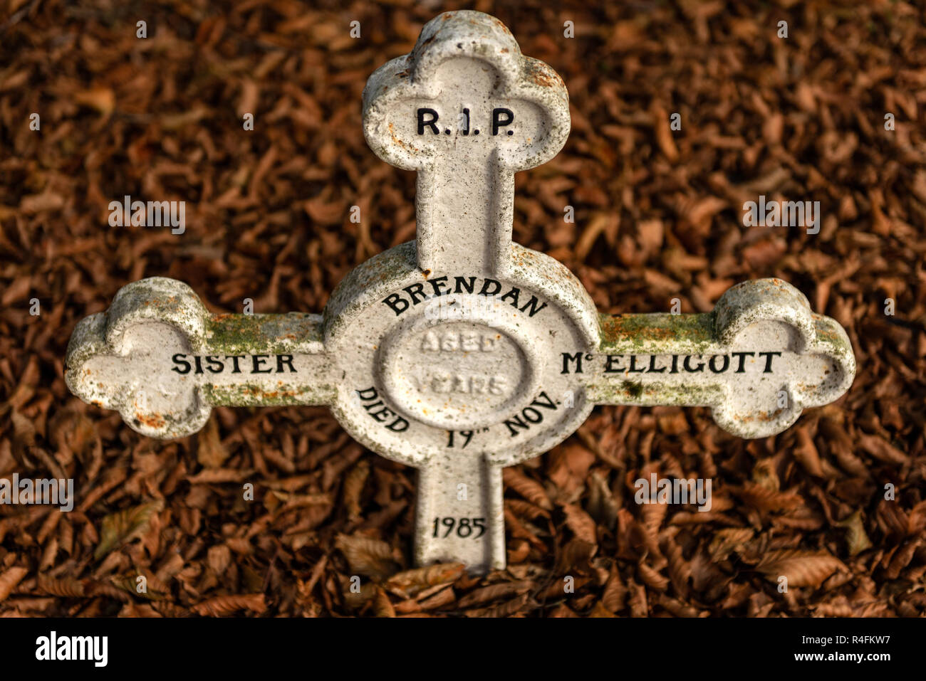 Religion Irlande Croix celtique blanche pierre tombale gros plan et feuilles brunes. Faible profondeur de champ. Banque D'Images