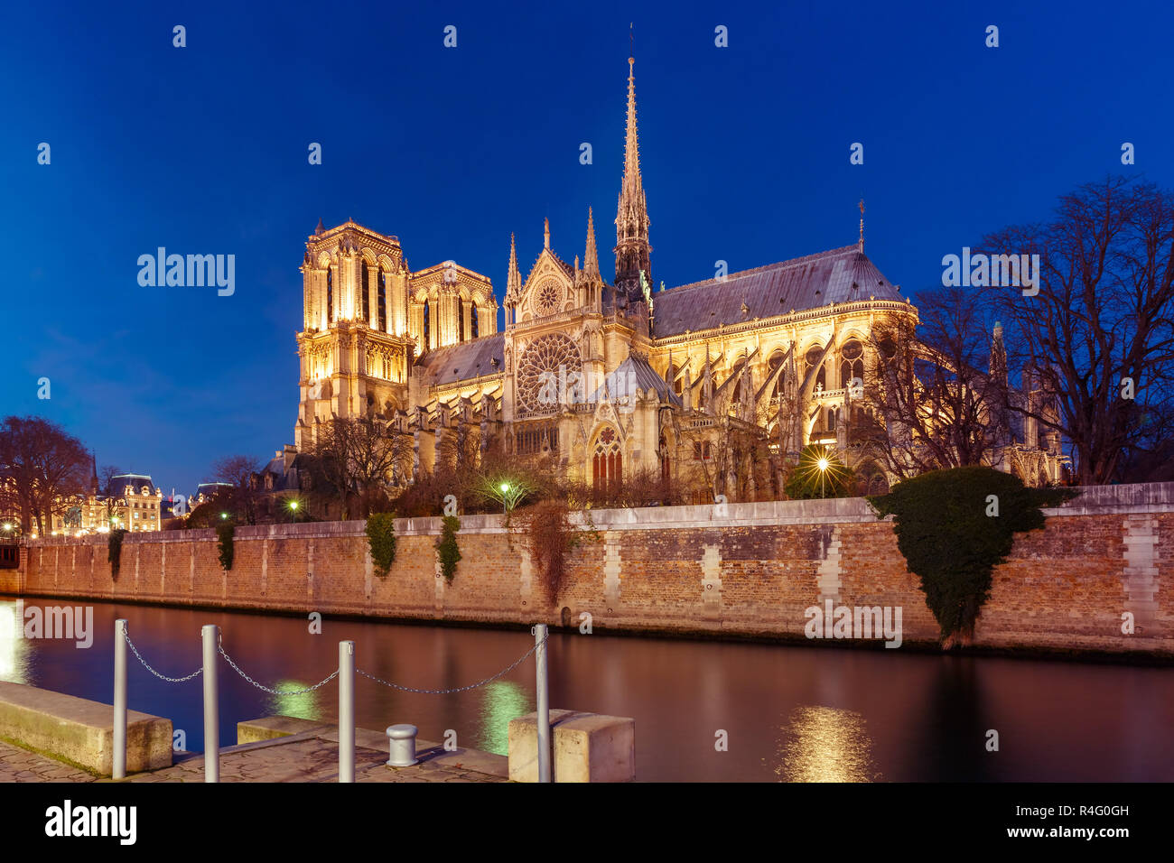 Cathédrale Notre Dame de Paris la nuit, France Banque D'Images