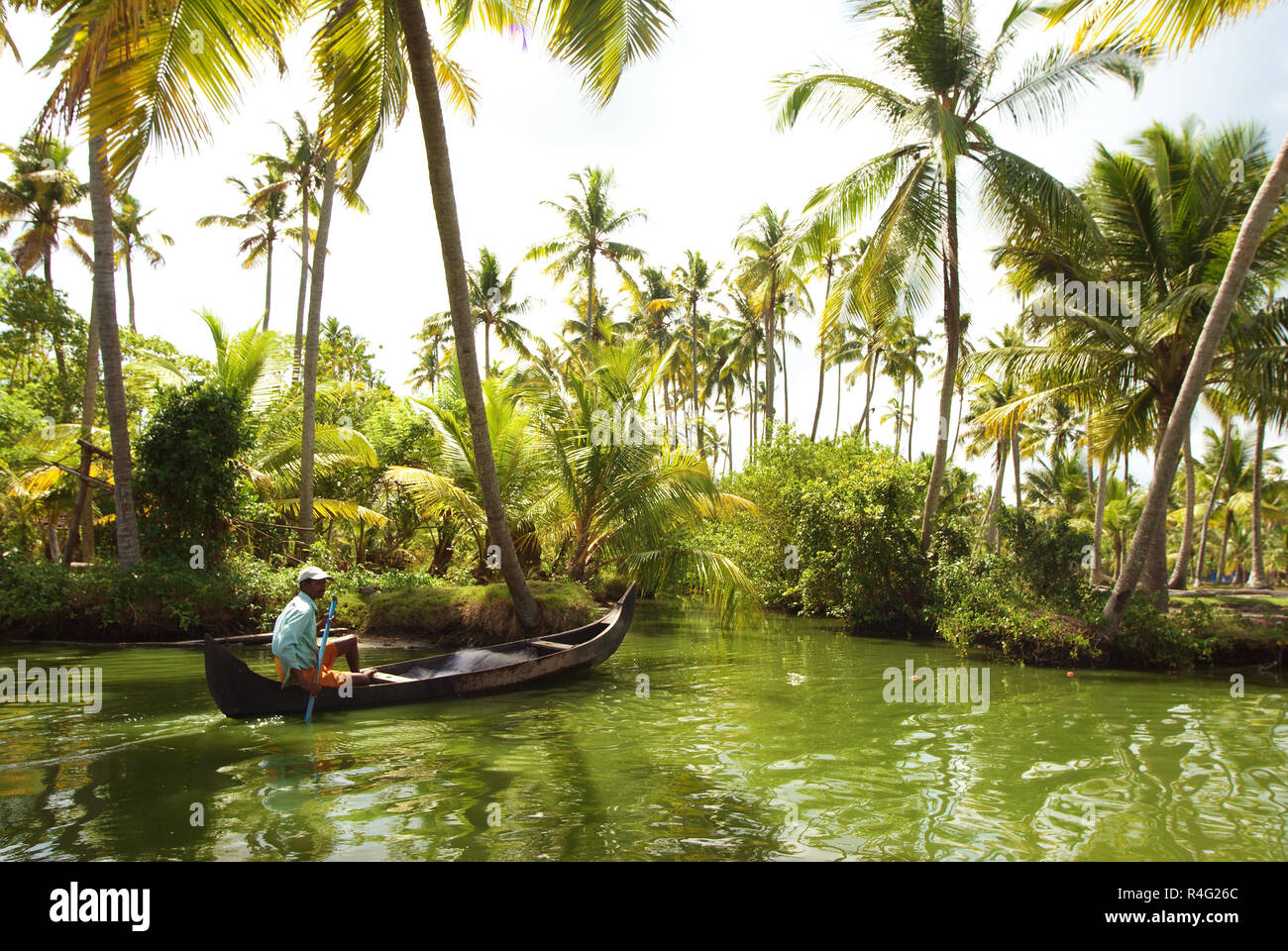 Paysage naturel Banque D'Images