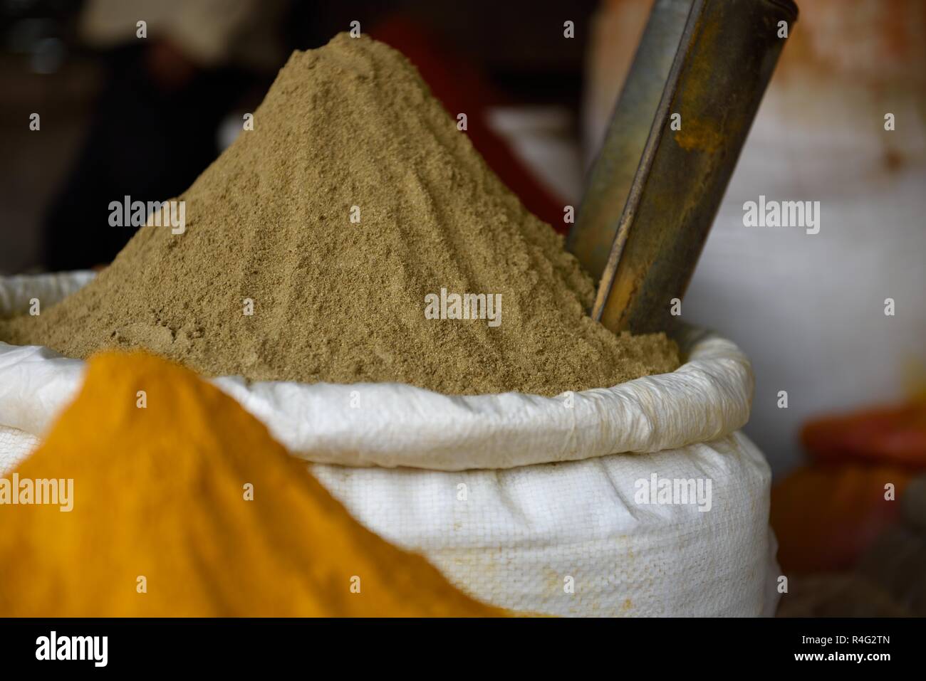Panier de matières premières de la terre fraîche, coriandre en poudre indienne ou dhania, dans un marché aux épices à Jaipur, Rajasthan, Inde. Banque D'Images