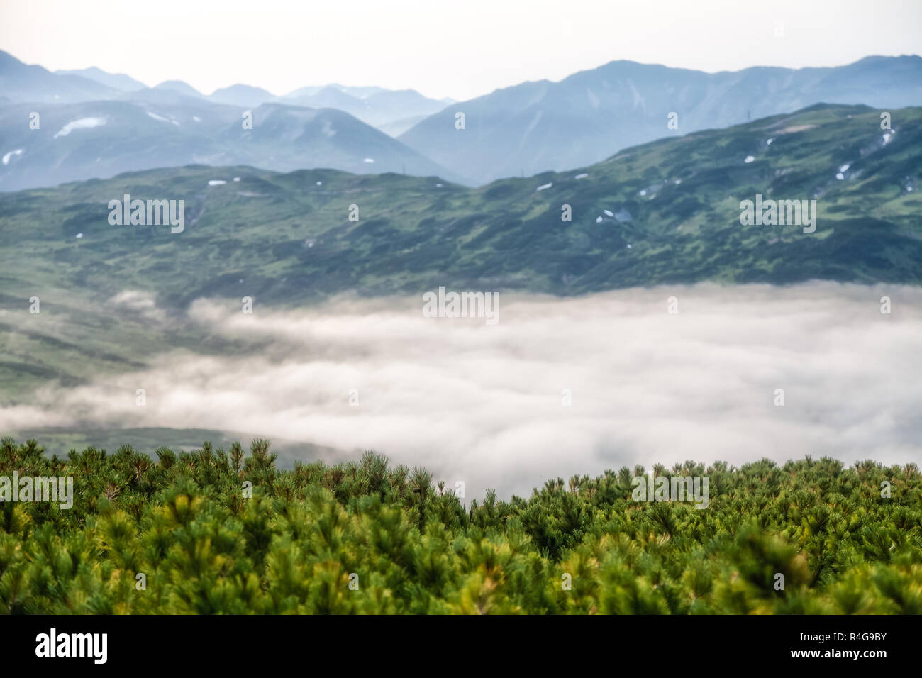 Nature de Kamchatka. Les paysages et les vues magnifiques de la Kam Banque D'Images