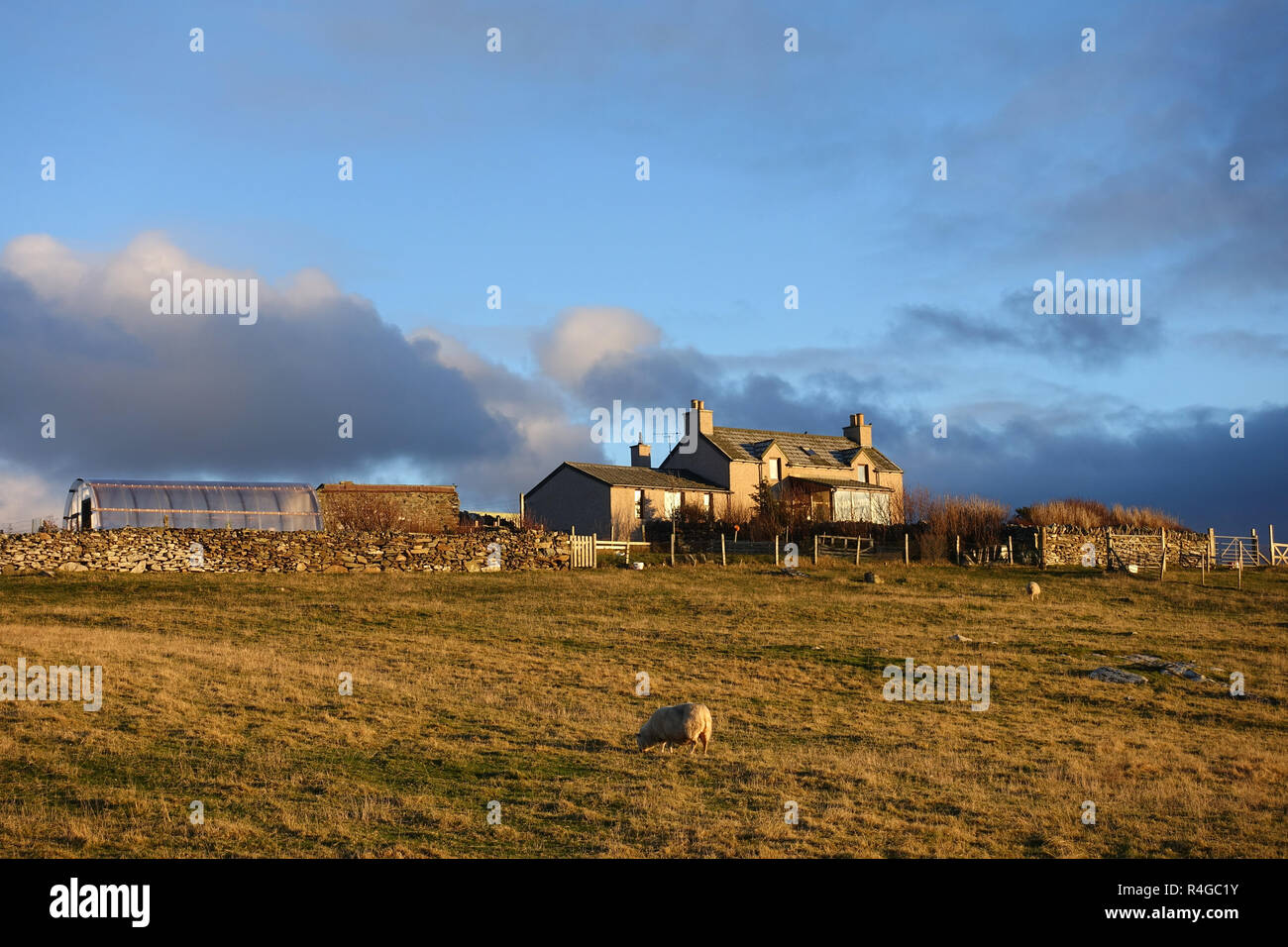 Lumière d'hiver faible dans Hoswick Sandwick Shetland avec des maisons autour de la falaise et le littoral du village Banque D'Images
