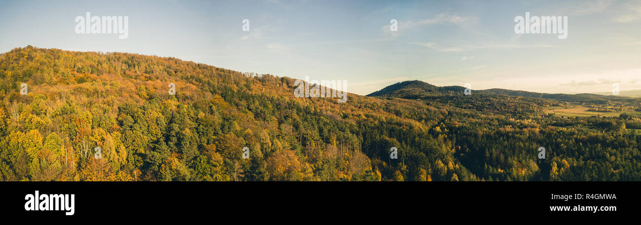 Antenne d'inspiration paysage, forêt d'automne et les champs, drone point de vue. La saison d'automne panorama paysage inspirant Banque D'Images
