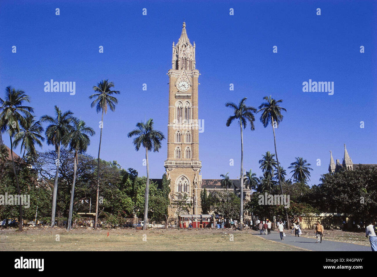 La Tour Rajabai . et Oval Maidan, Mumbai, Inde, Asie Banque D'Images