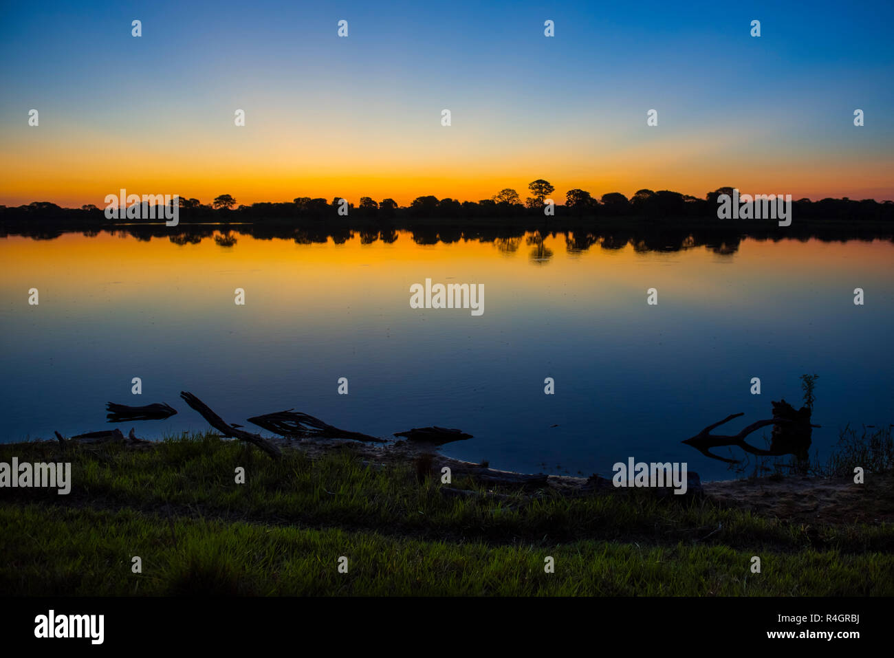 Paysage avec la rivière Rio Negro au coucher du soleil, Fazenda Barranco Alto, Pantanal, Mato Grosso do Sul, Brésil Banque D'Images