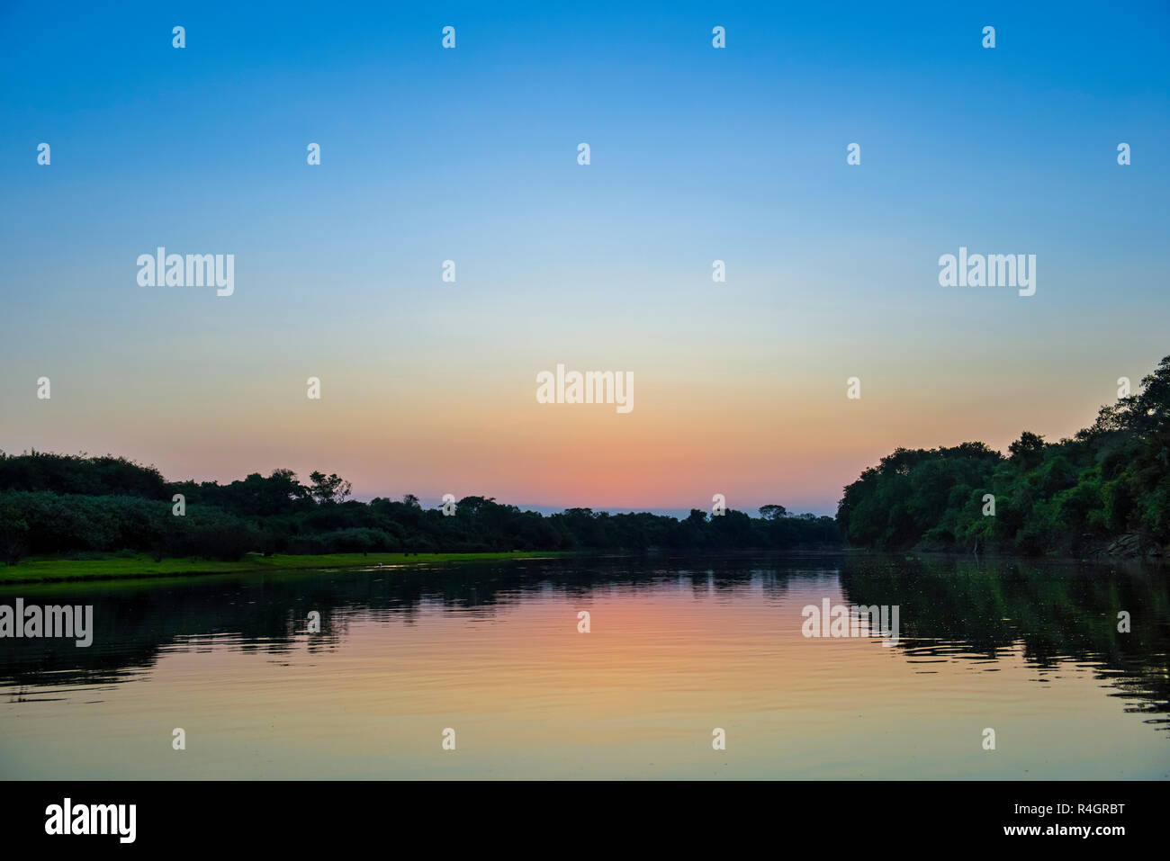 Paysage avec la rivière Rio Negro au coucher du soleil, Fazenda Barranco Alto, Pantanal, Mato Grosso do Sul, Brésil Banque D'Images