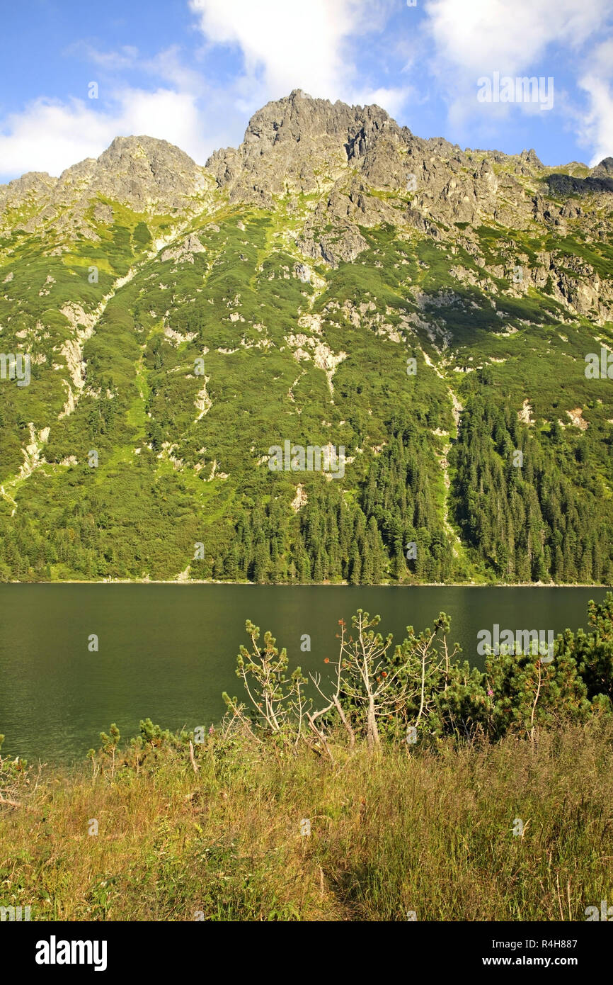 L'Œil de la Mer (Morskie Oko) lac près de Zakopane. Pologne Banque D'Images