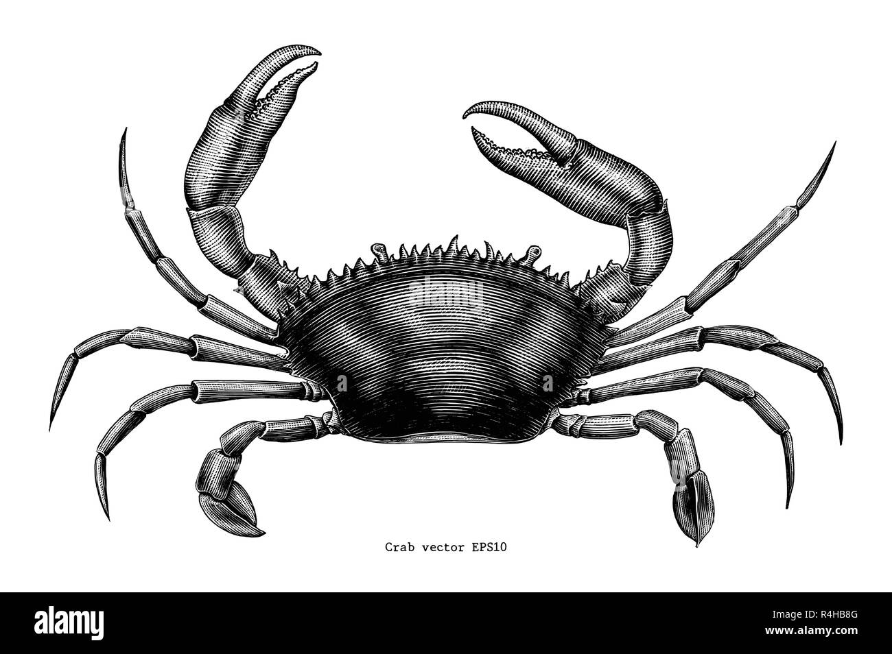 Dessin à la main crabe vintage clip art Illustration de Vecteur
