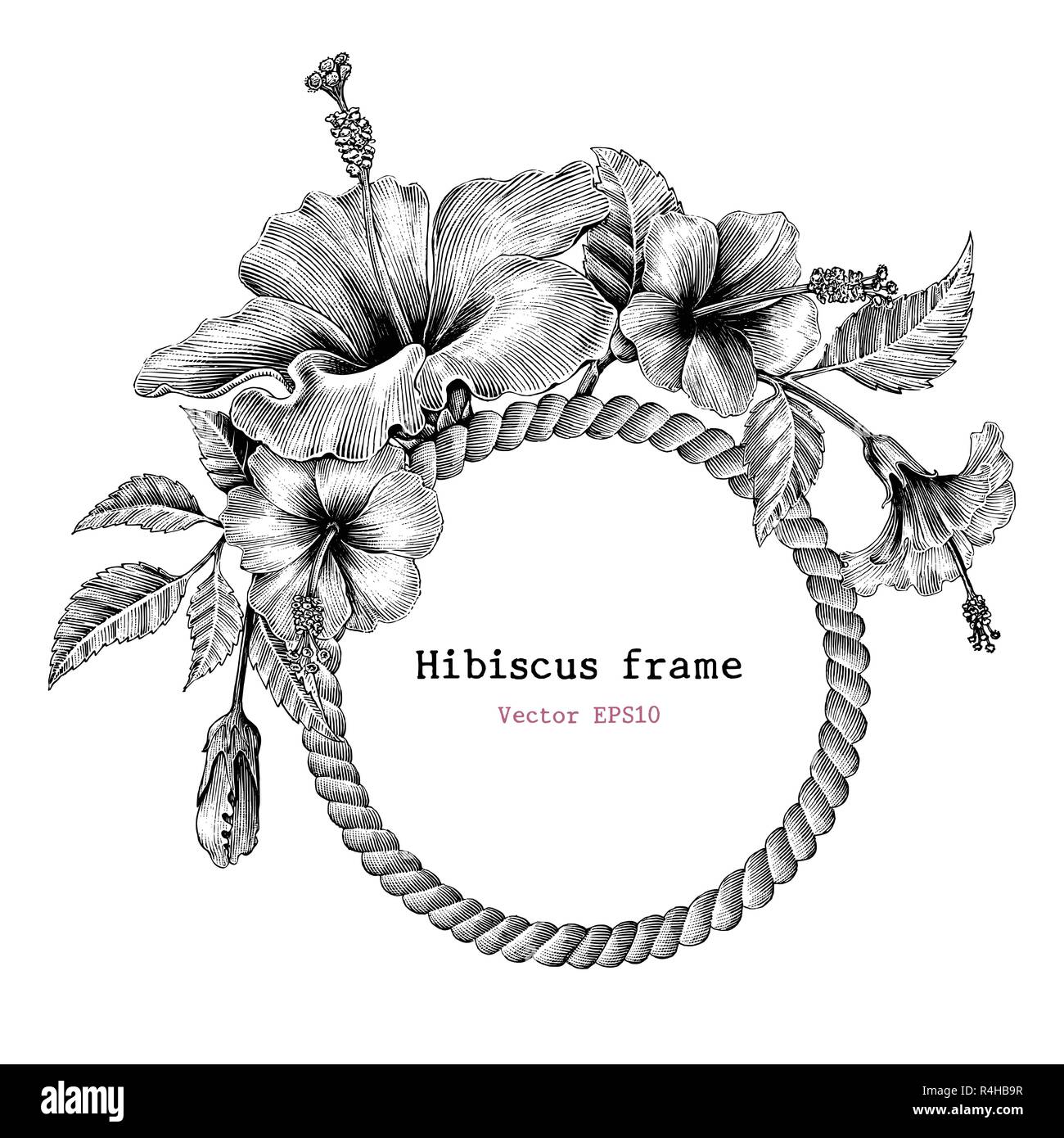 Hibiscus fleur cadre dessin à la main vintage clip art Illustration de Vecteur