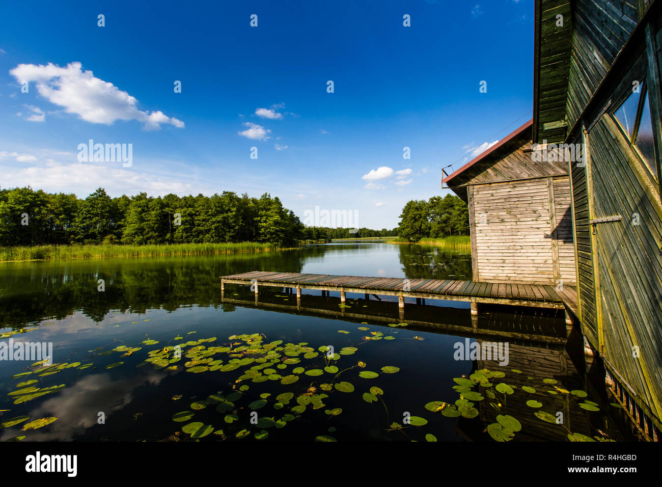 Wigry Lake National Park. Pologne Banque D'Images