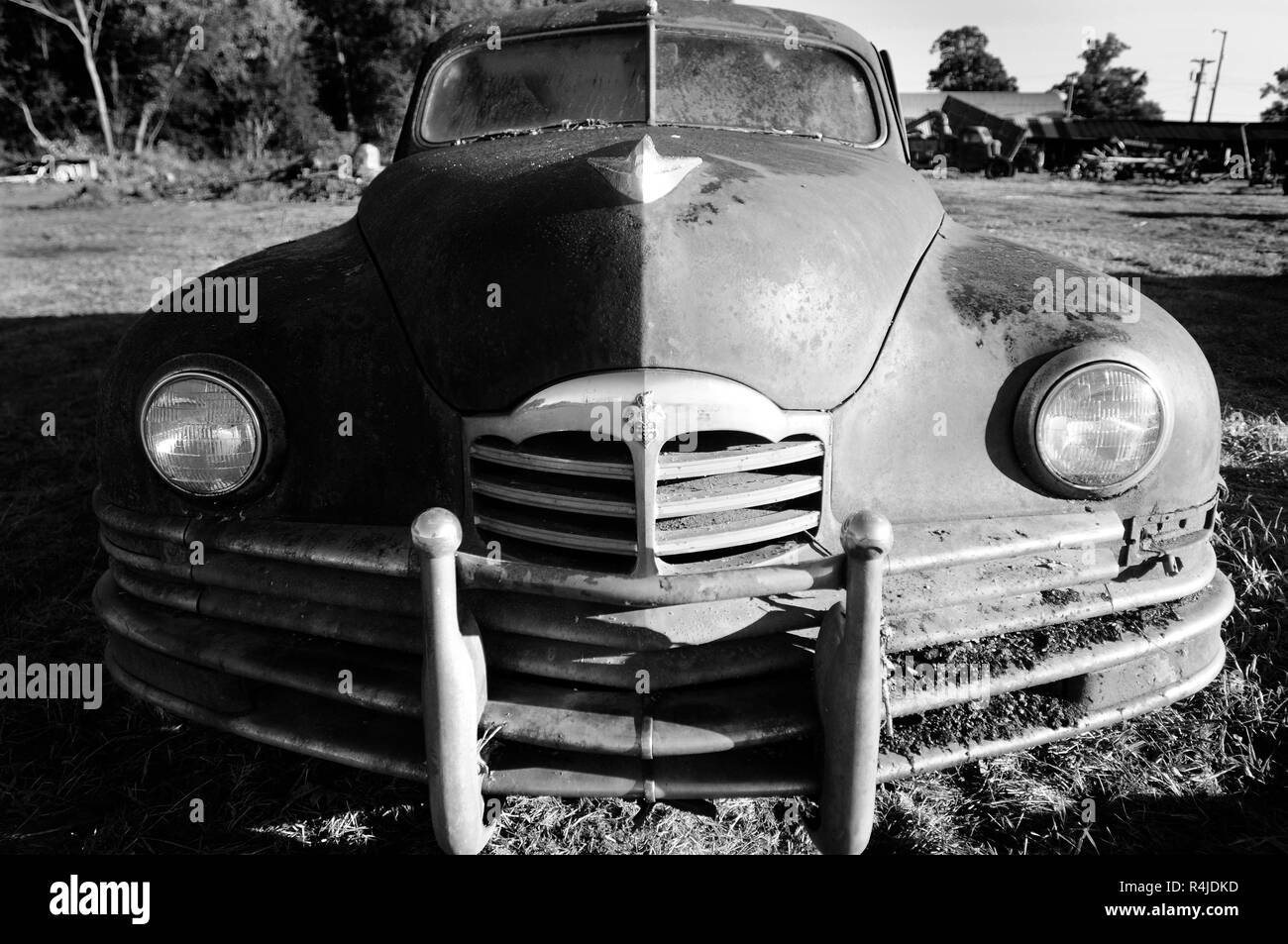 Une voiture laissée Hudson dans un champ agricole Banque D'Images
