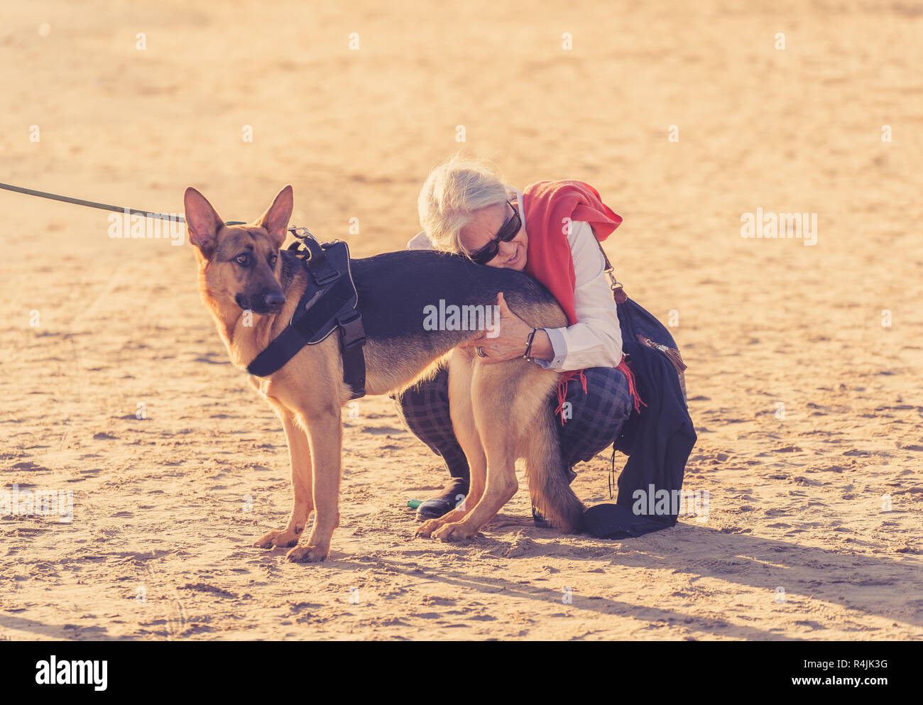 Belle veuve vieille femme jouant avec son chien shepard allemand bénéficiant de son compagnon et
