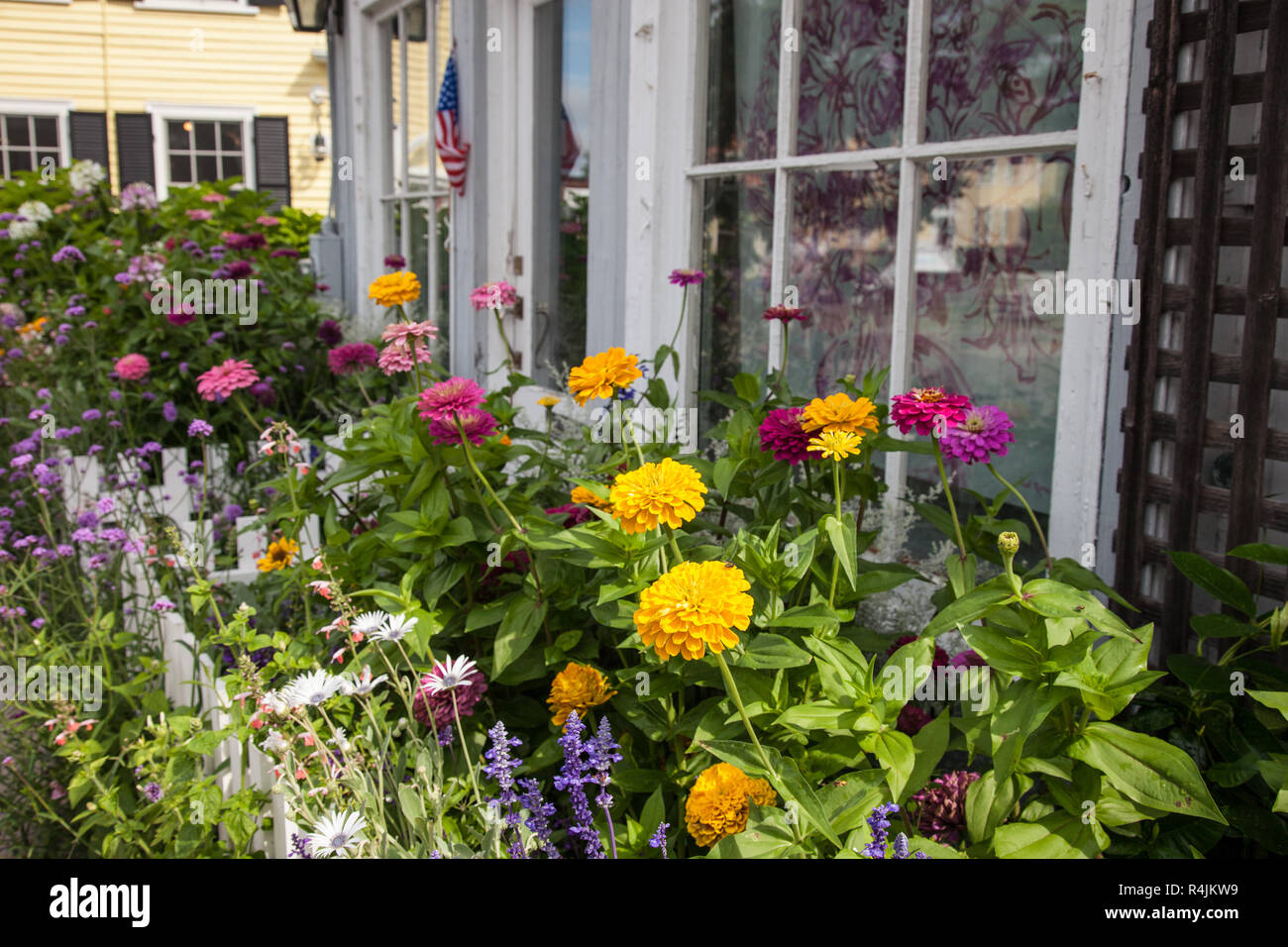Fleurs le long de la Gatineau, MA Street Banque D'Images