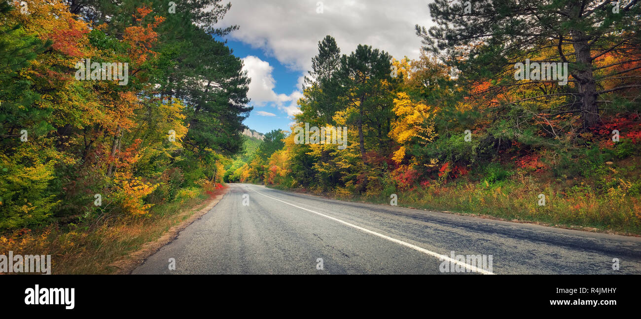 Chemin de ronde route goudronnée à travers les magnifiques forêts d'automne. Composition panoramique Banque D'Images