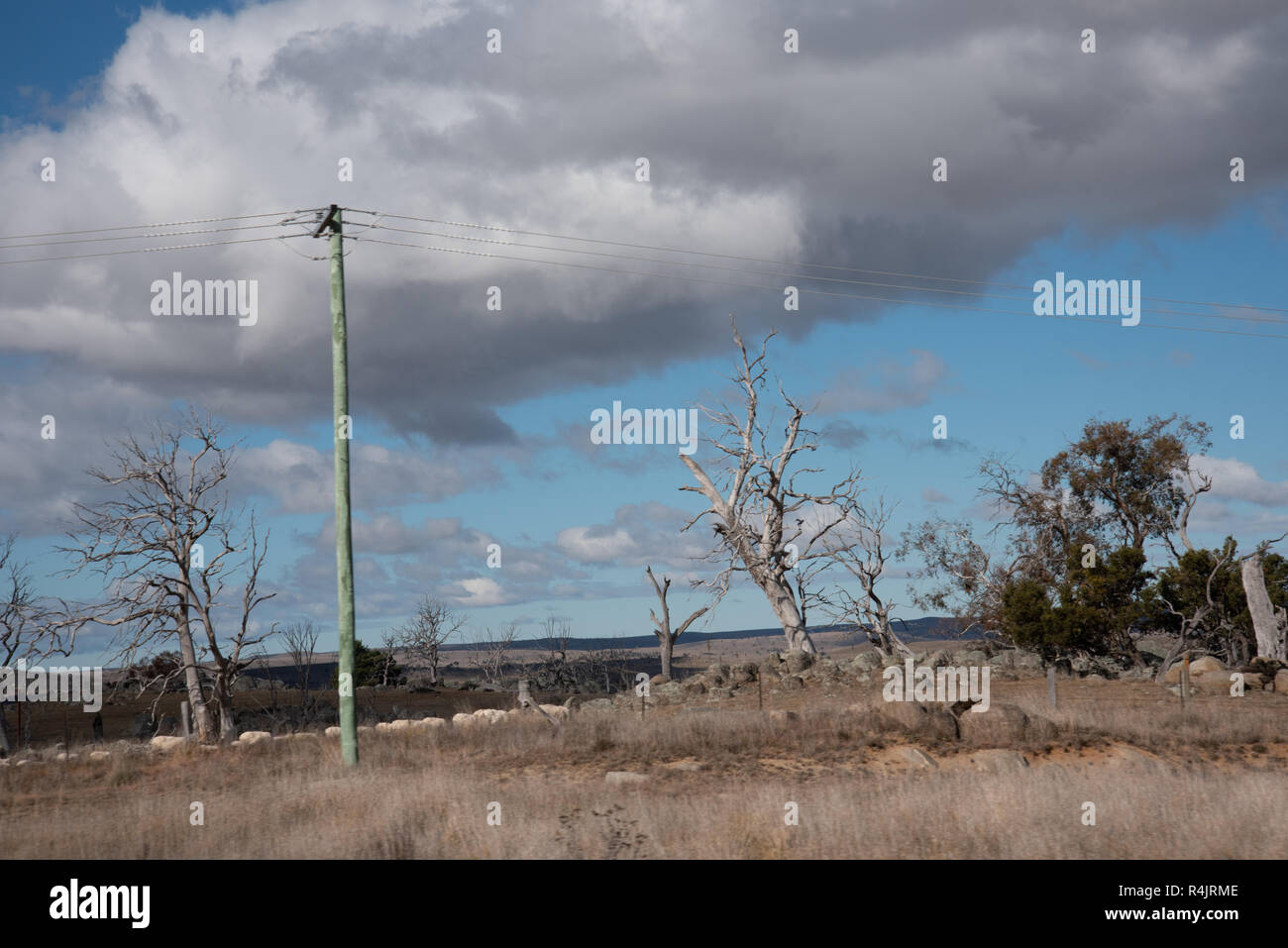 Le long de la campagne Bush Outback en Australie Banque D'Images