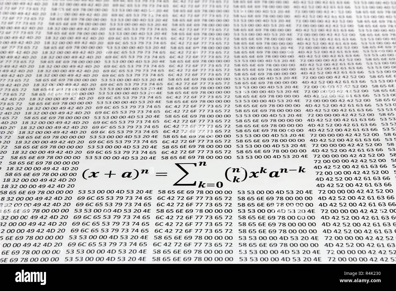 Binôme de newton contre les codes hexadécimaux imprimés sur du papier Banque D'Images