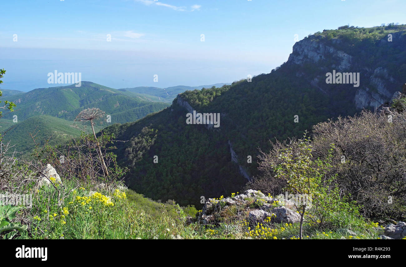 Magnifique paysage de montagne avec vue de dessus d'une forêt éloignée des pistes couvertes. Bien au-dessous de la mer à l'horizon. Montagnes de Crimée Banque D'Images