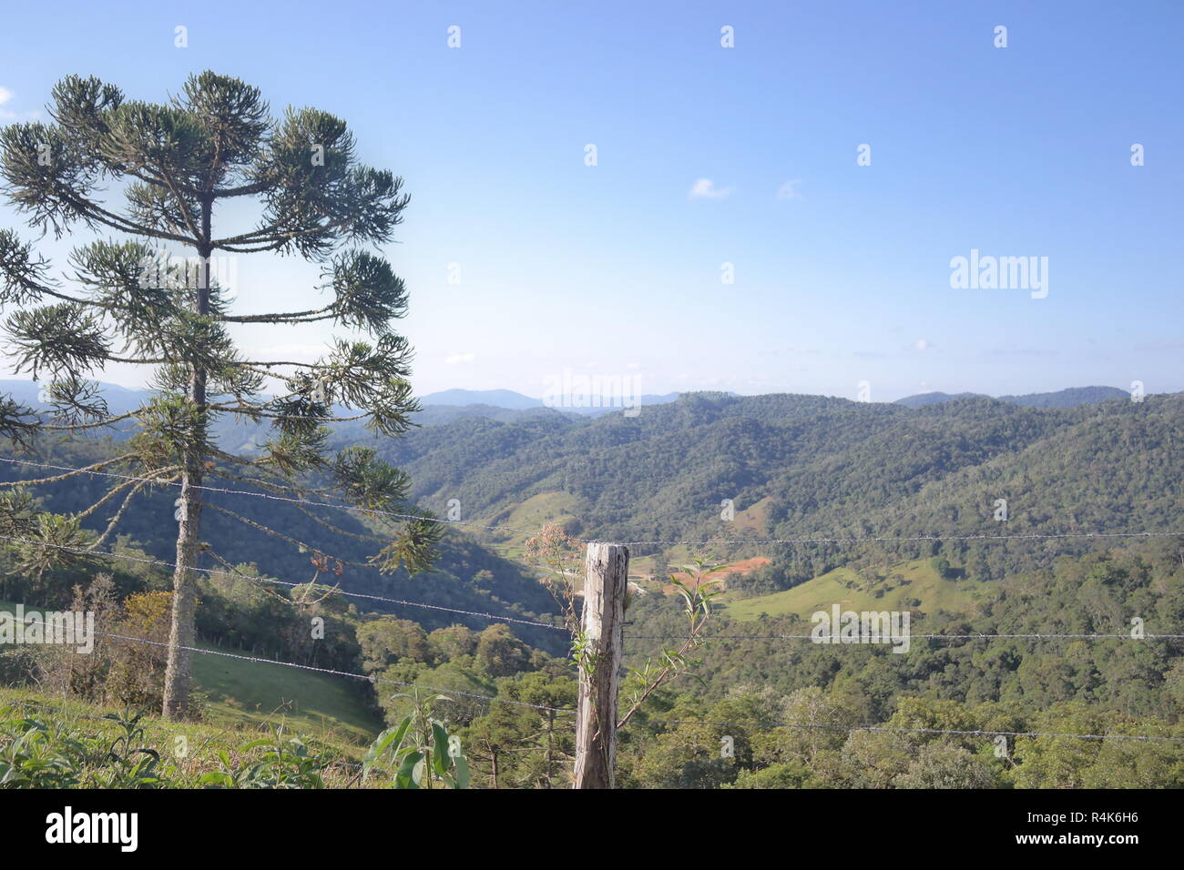 Rancho queimado Serra Catarinense, l'Inverno, hiver, Santa Catarina, Brésil Banque D'Images