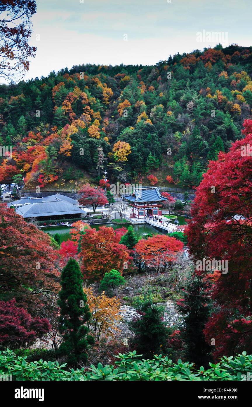 Les feuilles d'automne à partir du haut de Katsuoji temple, Osaka, Japon Banque D'Images