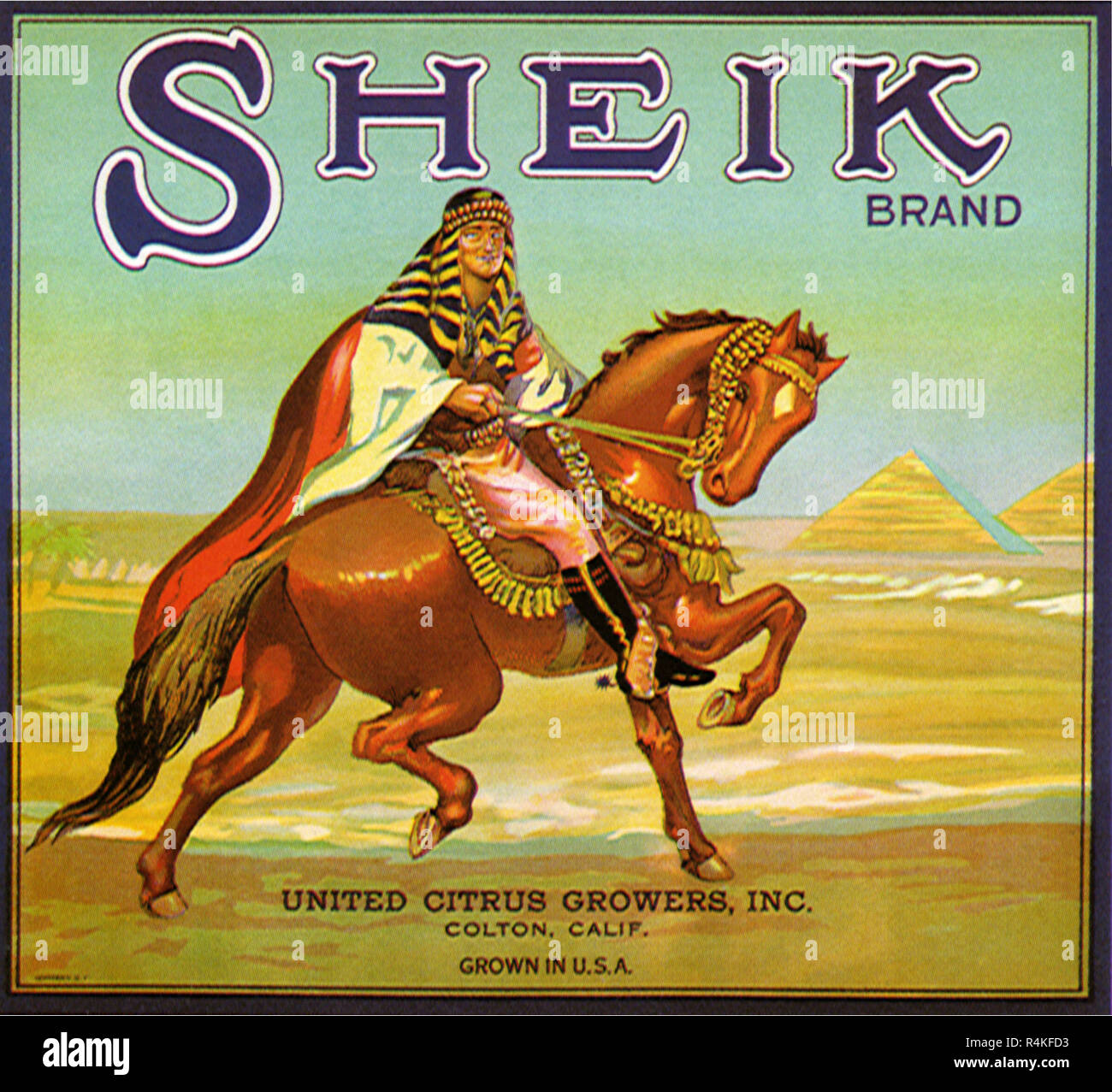 Sheik à cheval. Banque D'Images
