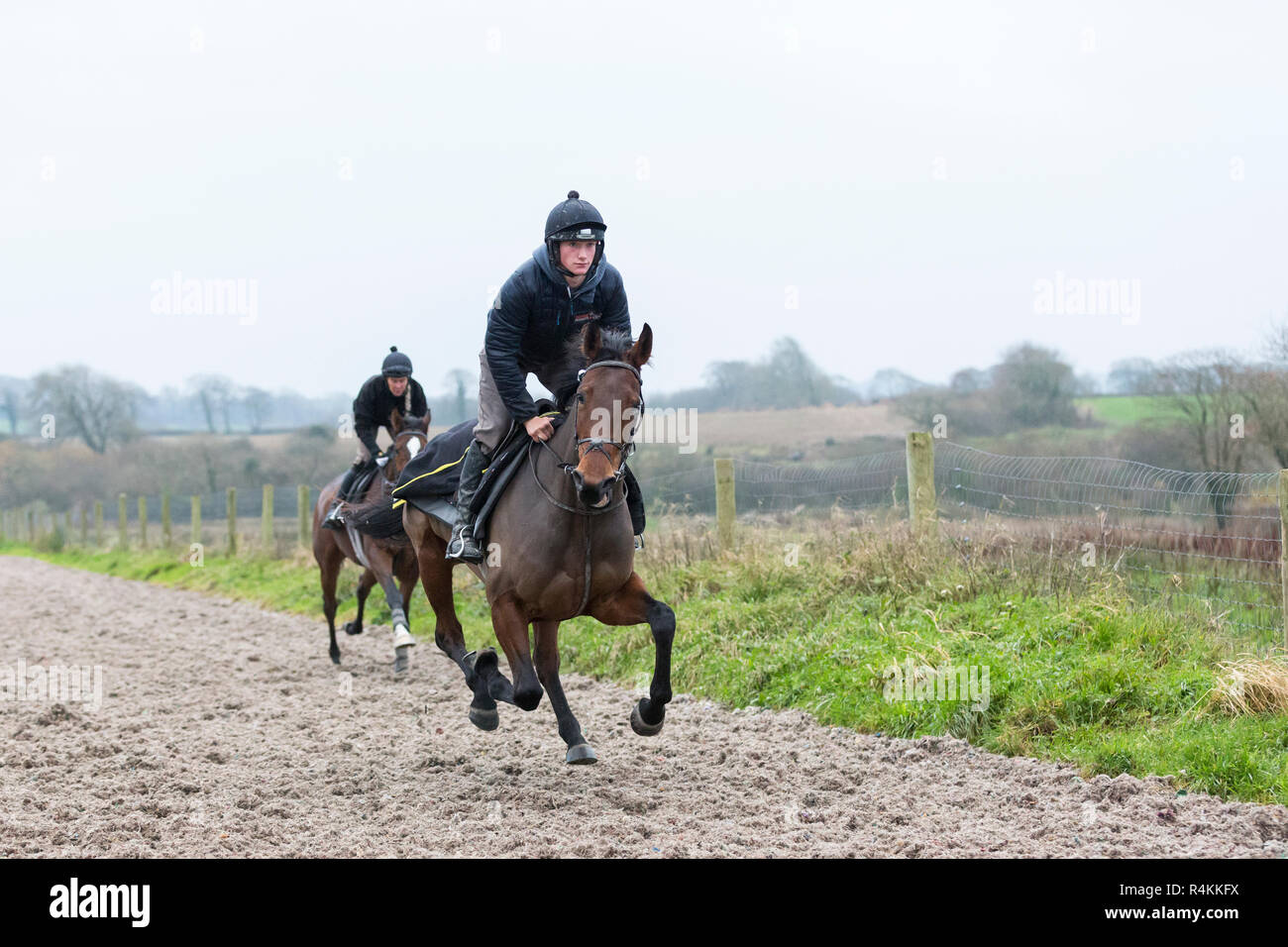 Deux chevaux des écuries de Peter Bowen à Pembrokeshire, au pays de Galles, sur les gallops Banque D'Images