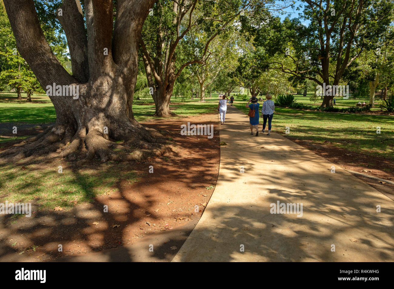 Queens Park Gardens, Toowoomba Banque D'Images