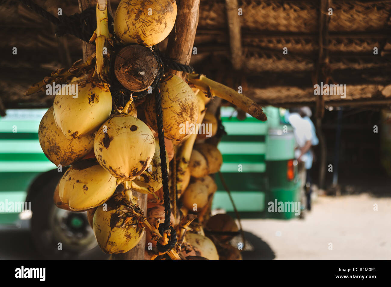 Photo d'une bande de voile jaune coco Banque D'Images