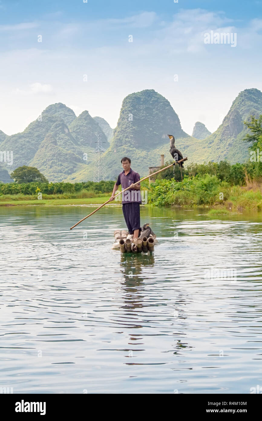 Hangzhou, Chine - 14 juillet 2010 : cormorant fisherman traditionnelle fonctionne sur la rivière Li Yangshuo, Chine. La pêche au cormoran est un mode de vie traditionnel Banque D'Images