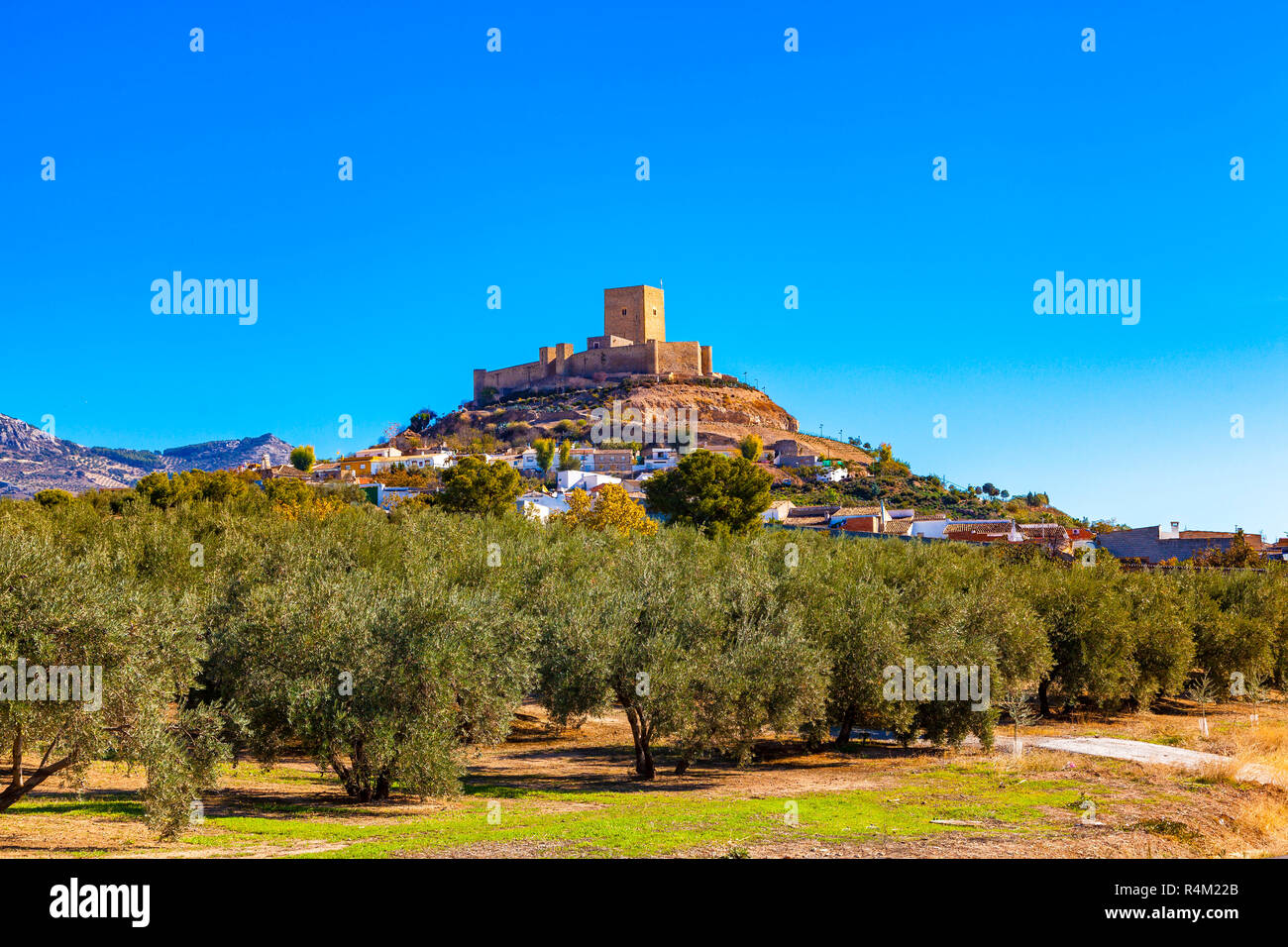 Vue sur le château d'Alcaudete, province de Jaén, Andalousie, Espagne entouré d'oliviers. Banque D'Images