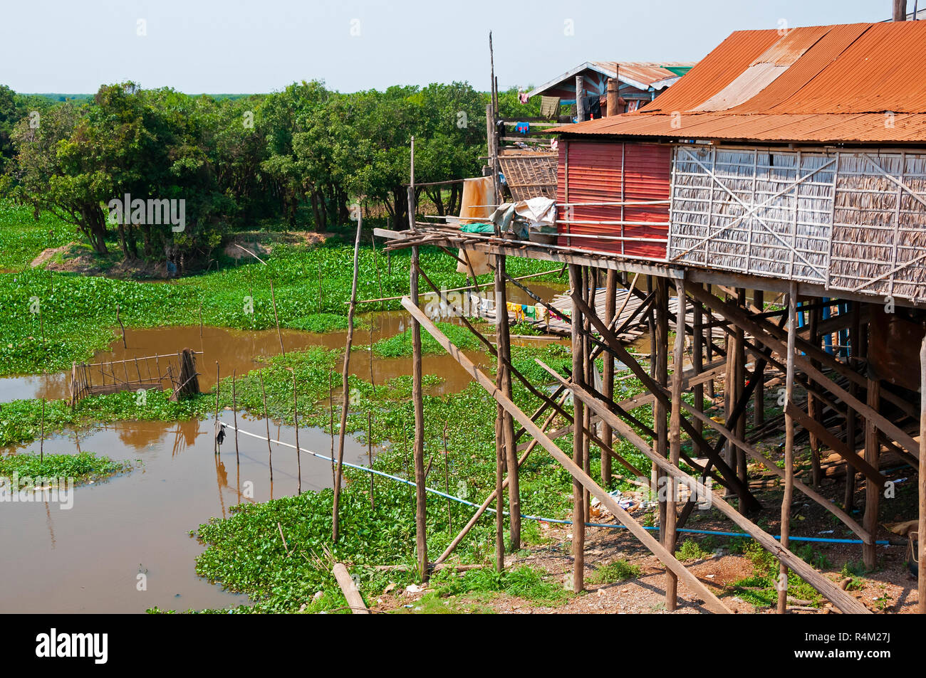 Village de pêcheurs sur pilotis ou guindé, maisons en saison sèche, situé sur les rives d'un estuaire de le brancher sur le lac Tonle Sap, Cambodge Banque D'Images