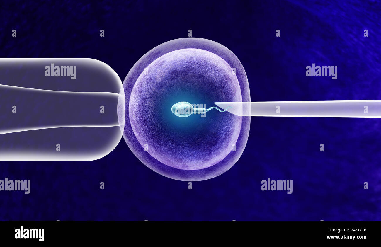 La fécondation in vitro ou FIV traitement de fertilité et l'insémination artificielle avec un ovule et du sperme d'aider avec des problèmes d'infertilité. Banque D'Images