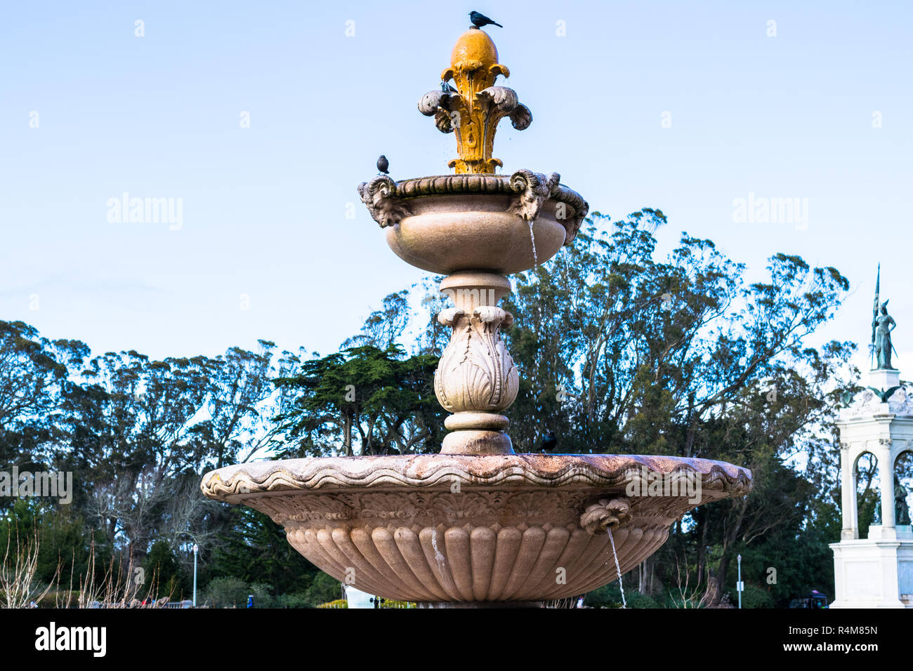 Vue de la fontaine à l'extérieur de l'Académie des Sciences de Californie dans le Golden Gate Park. Après-midi ensoleillé dans le Golden Gate Park en Californie, USA. Banque D'Images