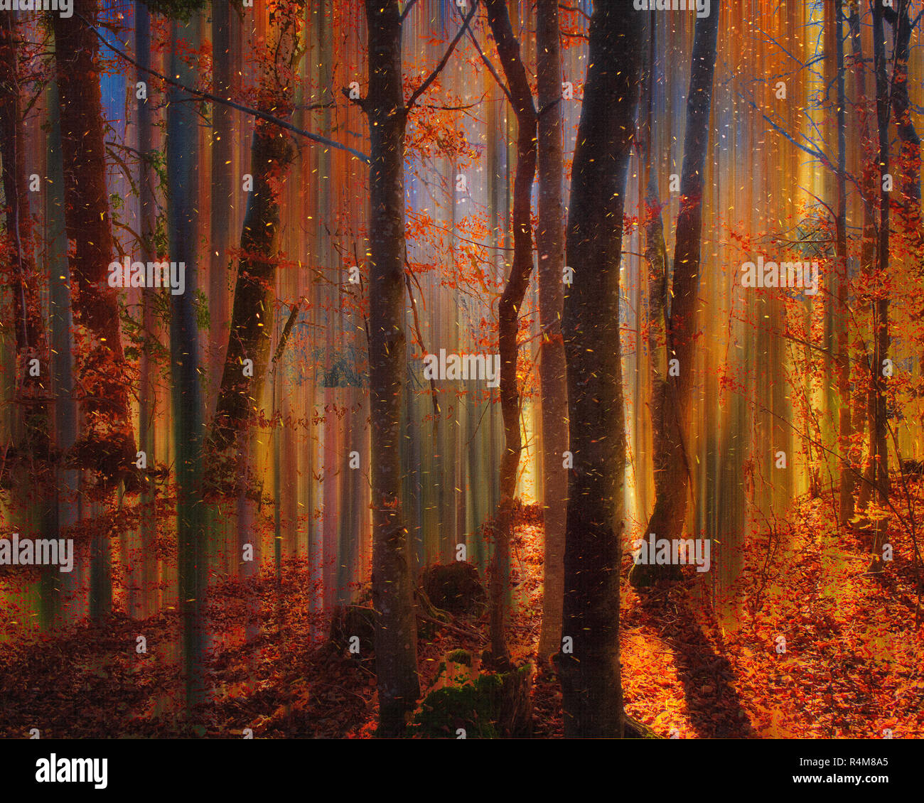 Art Photographique : les fées ne portent pas de bottes (Magic woods près de Bad Tölz, Bavière, Allemagne) Banque D'Images