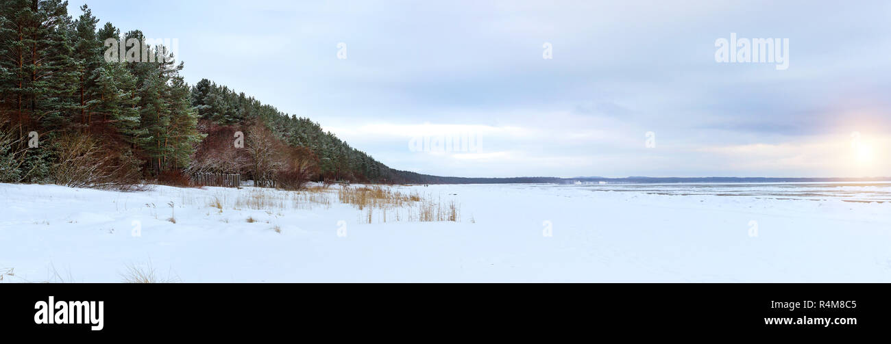 Journée d'hiver sur la rive enneigée de Narva Bay. La neige sur la glace du golfe de Finlande gelés. Narva-Joesuu resort town en Estonie Ida-Virumaa. Le Nord de l'hiver sévère et temps de neige. Forêt de pins, pin Banque D'Images
