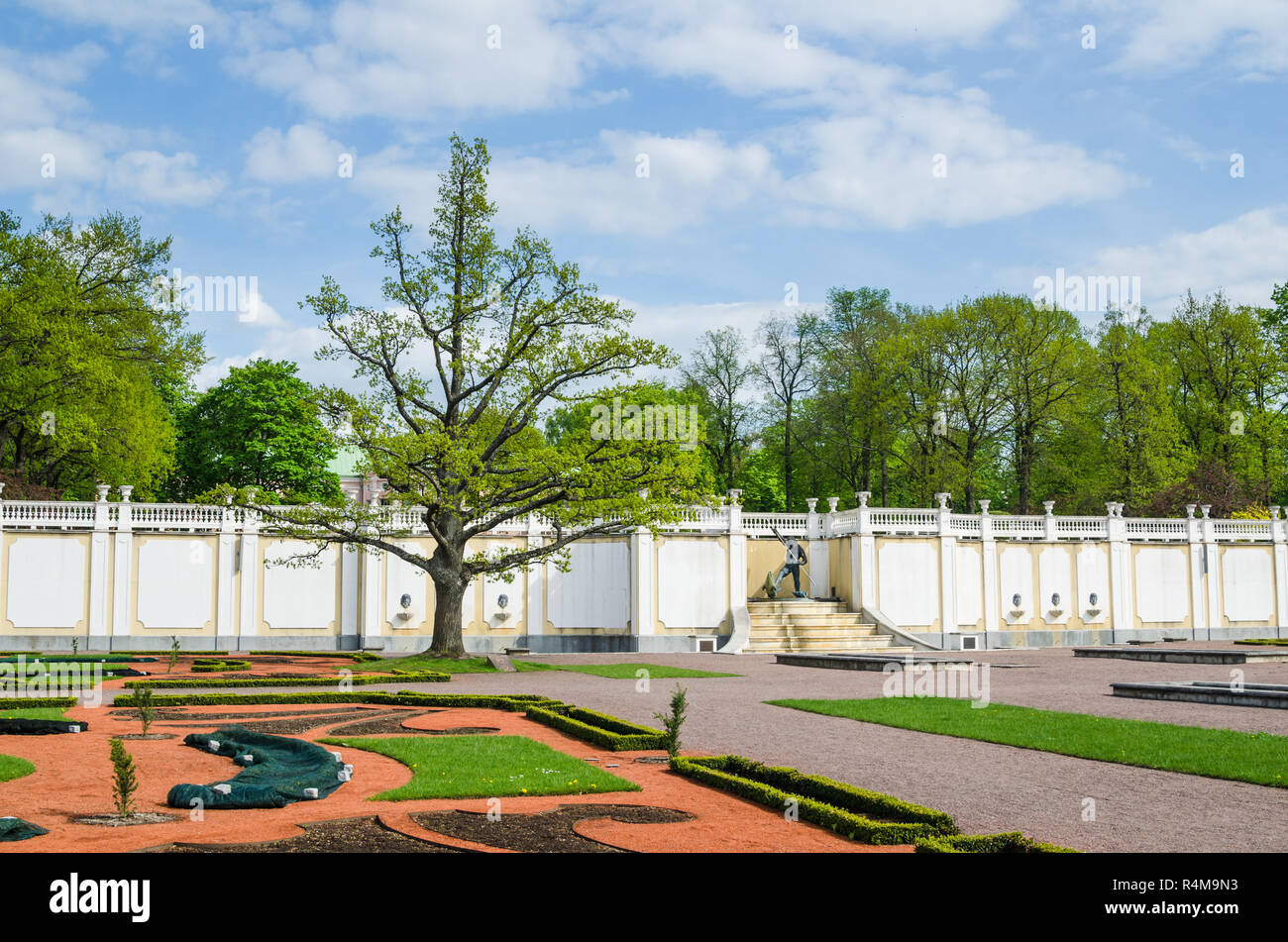 Vieux Chêne dans le Parc Kadriorg, Tallinn, Estonie. Banque D'Images