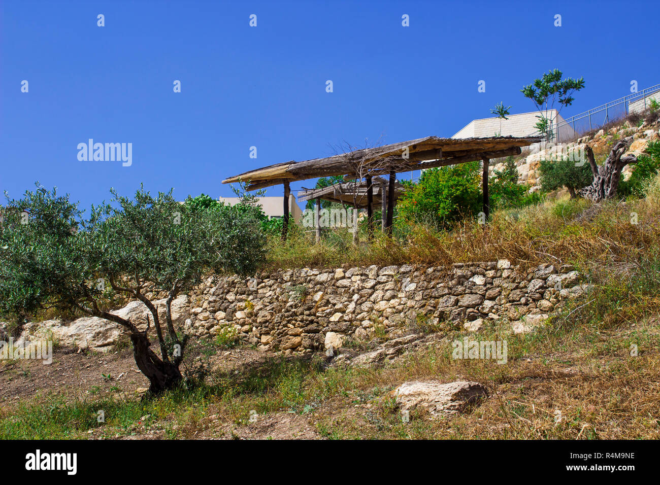 Construit en bois d'un pare-soleil sur une terrasse dans le musée en plein air du village de Nazareth en Israël. Ce site donne un aspect authentique à la vie et l'époque de Banque D'Images