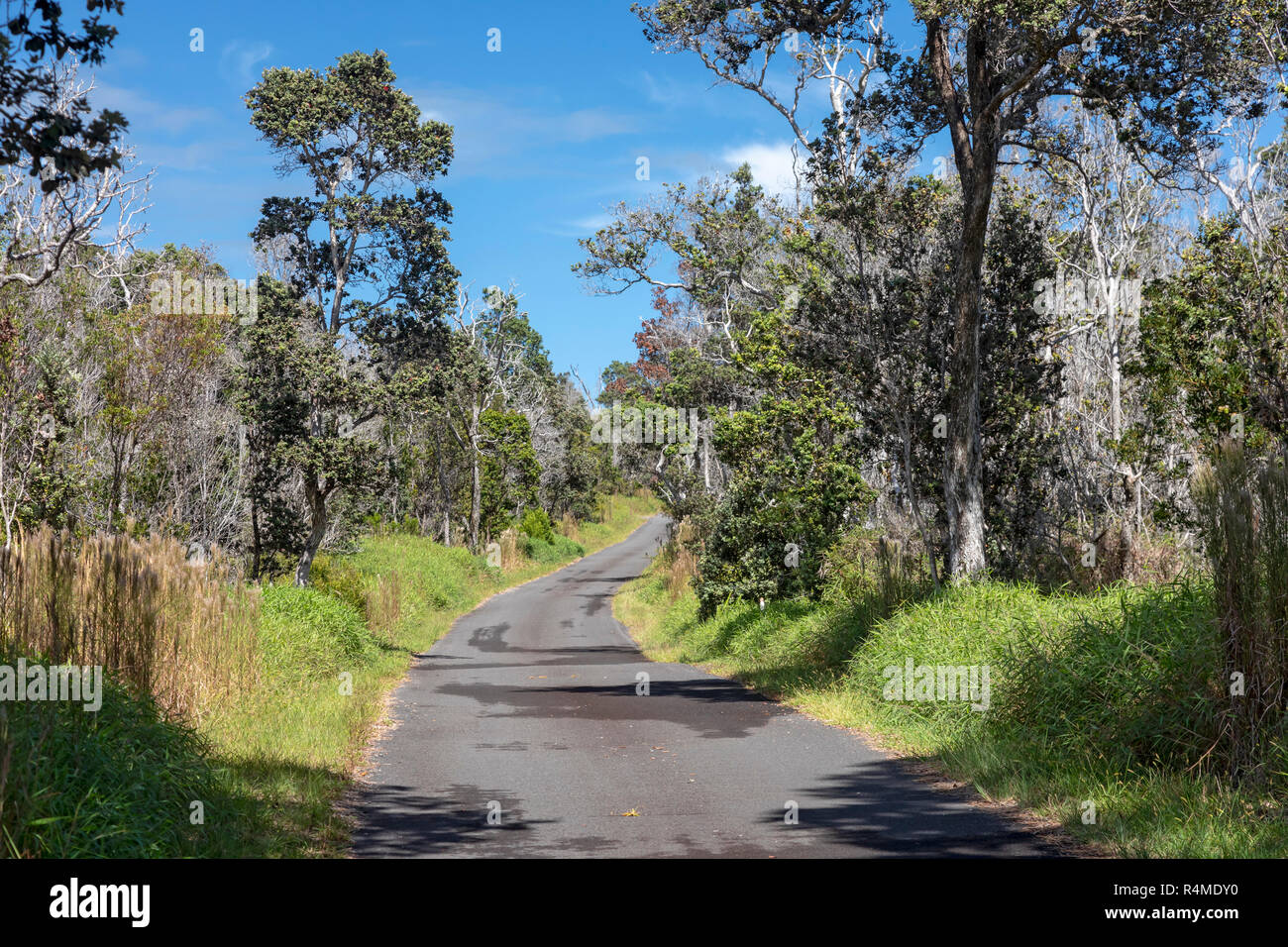 Hawaii Volcanoes National Park, New York - la seule voie Hilina Pali Road. Banque D'Images