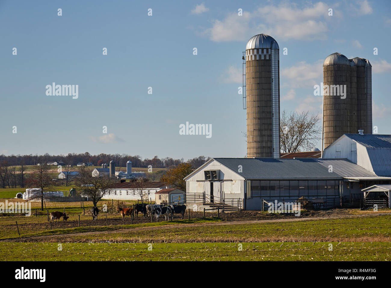 Une petite ferme près de Georgetown, comté de Lancaster, Pennsylvanie, USA Banque D'Images