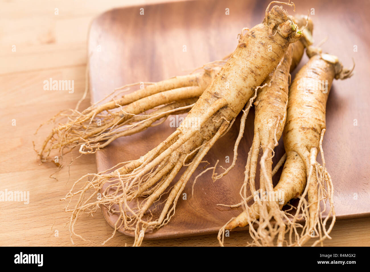 Ginseng coréen Banque D'Images