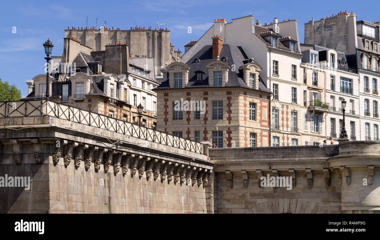 Les palais et les toits de Paris Banque D'Images