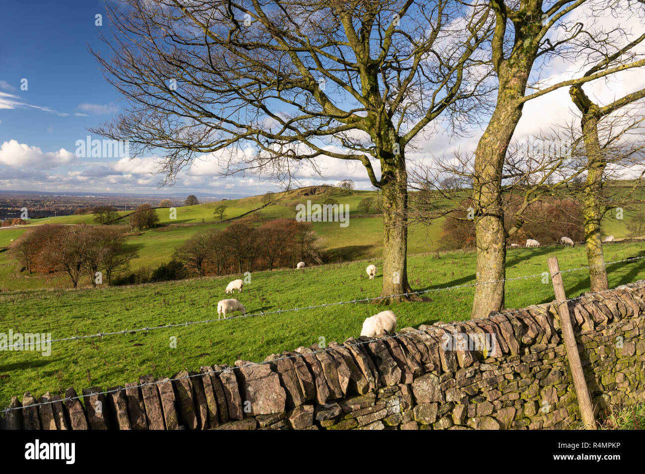 Tegg's Nose Country Park, Macclesfield, Cheshire, Angleterre, Royaume-Uni Banque D'Images